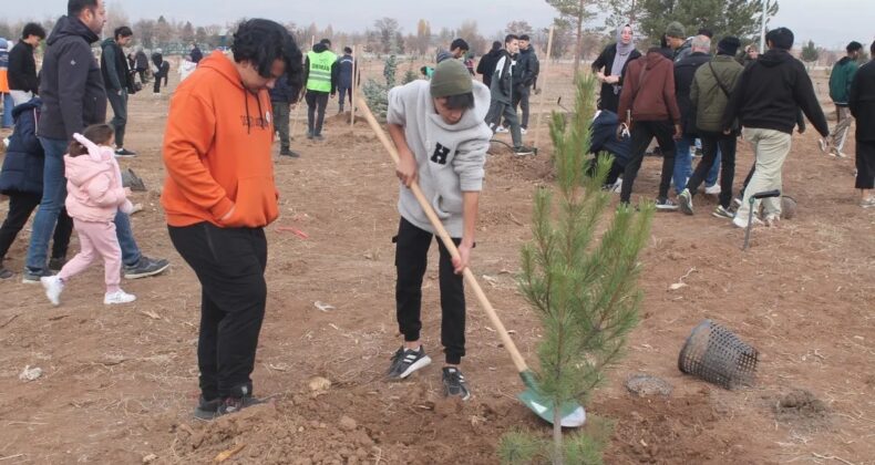 Sivas’ta geleceğe nefes için 11 bin fidan dikildi